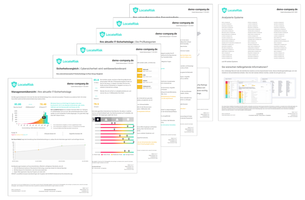 Zusammenfassung der LocateRisk Schwachstellenanalyse in Form eines  Managementberichtes.